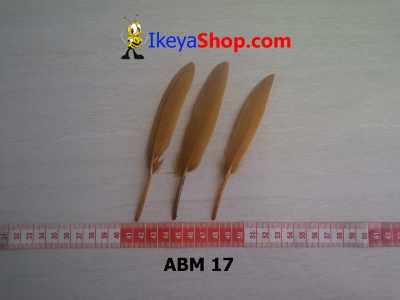 ABM 17  large2